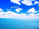 小學(xué)四年級(jí)上冊(cè)美術(shù)課件-第6課海洋世界-蘇少版(24張)(1)ppt課件