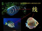 小學(xué)四年級(jí)上冊(cè)美術(shù)課件-第6課海洋世界-蘇少版(24張)(1)ppt課件