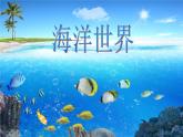 海洋世界PPT課件免費(fèi)下載