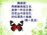 彩蝶PPT课件免费下载