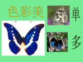 彩蝶PPT课件免费下载