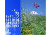 人教版小学五年级美术下册  13.风筝的魅力     课件