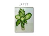 人教版小學(xué)五年級美術(shù)下冊 5.靜物寫生    課件