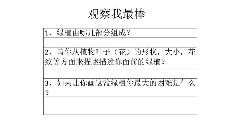 人教版小学五年级美术下册 5.静物写生    课件07