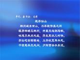 人教版小學(xué)五年級美術(shù)下冊  18.旅游節(jié)   課件