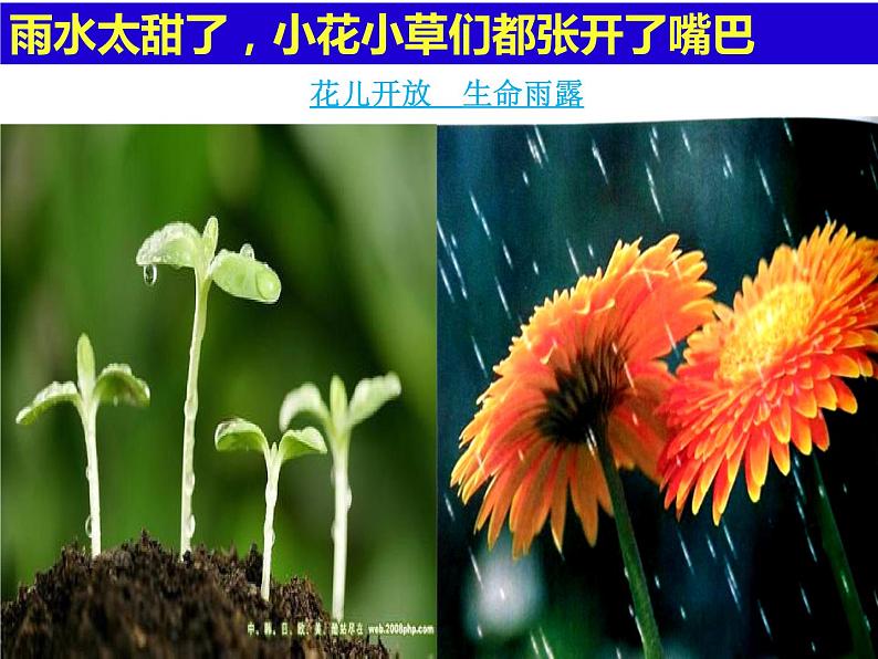 湖南美术出版社小学美术一年级下册 1. 小雨沙沙(6)课件PPT08