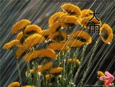 湖南美術(shù)出版社小學(xué)美術(shù)一年級(jí)下冊 1. 小雨沙沙(7)課件PPT