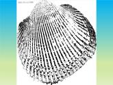 湖南美术出版社小学美术一年级下册 10. 拓印花纹组合画课件PPT