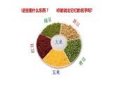 人教版小學(xué)四年級美術(shù)下冊  3.“五谷”作畫   課件