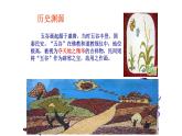 人教版小學(xué)四年級美術(shù)下冊  3.“五谷”作畫   課件