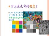 人教版小學四年級美術下冊  5.色彩的明與暗    課件