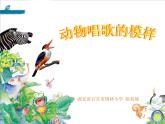 湖南美术出版社小学美术一年级下册 12. 动物唱歌的模样(2)课件PPT