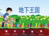 湖南美術出版社小學美術一年級下冊 17. 地下王國(1)課件PPT