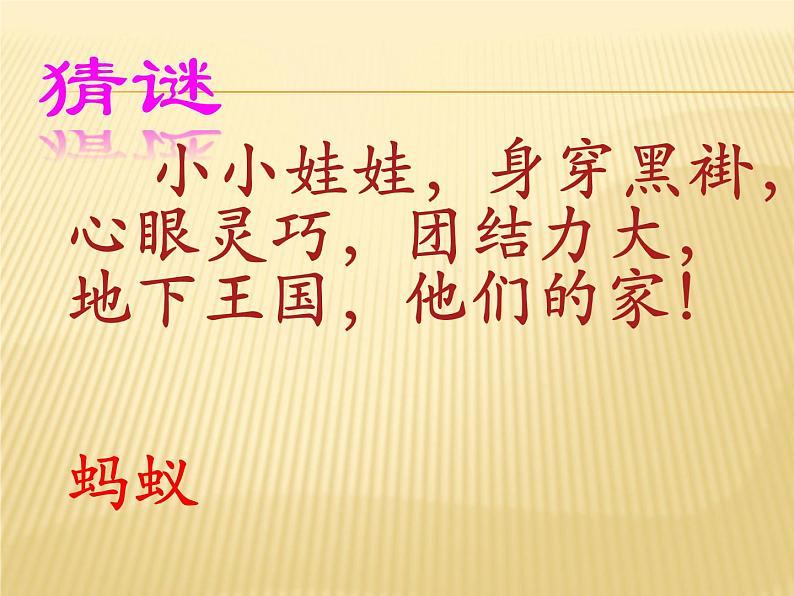 湖南美术出版社小学美术一年级下册 17. 地下王国(1)课件PPT第2页