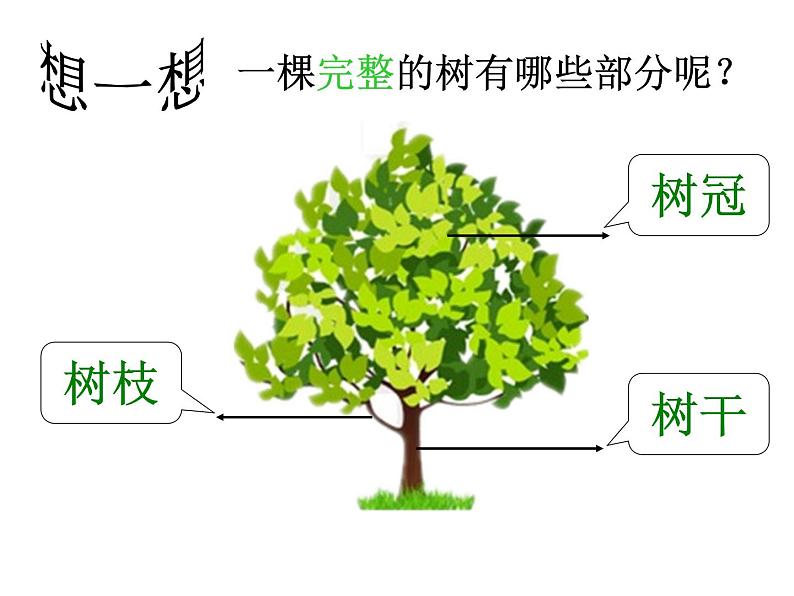 湖南美术出版社小学美术一年级下册 21. 小树快快长(8)课件PPT第8页