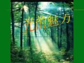 光的魅力PPT課件免費(fèi)下載
