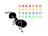 螞蟻搬家PPT課件免費(fèi)下載