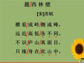 小學(xué)四年級下冊美術(shù)課件-2.3從不同角度畫物體-嶺南版(17張)(1)ppt課件
