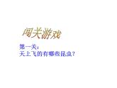 小学四年级下册美术课件-第17课虫虫大聚会-浙美版(19张)(1)ppt课件