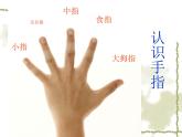 美術(shù)一年級(jí)下湘教版3手形添畫(huà)課件