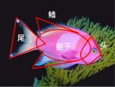 美術(shù)一年級(jí)下湘教版14剪對(duì)稱魚形課件