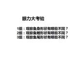 湘美版  一年級(jí)下冊(cè)美術(shù)-第14課 剪對(duì)稱魚形  課件（23張PPT）