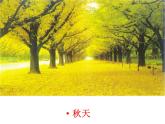 一年級下冊美術(shù)課件-第二十一課 小樹快快長湘美版    (共13張PPT)