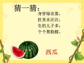 美術(shù)二年級上湘教版5瓜果飄香課件