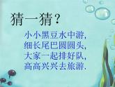 美術(shù)二年級(jí)上湘教版10小蝌蚪課件1