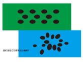 美術(shù)二年級(jí)上湘教版10小蝌蚪課件1