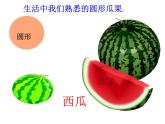 美術(shù)二年級上湘教版5瓜果飄香課件5