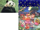湘教版二年级下册美术 4.动物聚会 课件（9张PPT）