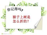 湘美版二年级美术下册 21. 猴子上树 课件(共10张PPT)