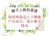 湘美版二年级美术下册 21. 猴子上树 课件(共10张PPT)
