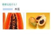 第6課 新發(fā)現(xiàn)（課件） 美術(shù)三年級上冊-湘美版(共14張PPT)