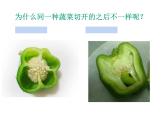 第6課 新發(fā)現(xiàn)（課件） 美術(shù)三年級上冊-湘美版(共14張PPT)