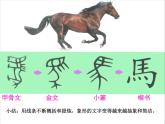 湘美版 美術(shù)三年級上冊 7.有趣的圖形 課件(15張PPT)