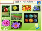 湘美版美術(shù)三年級(jí)下冊(cè) 第4課 自制顏料 課件
