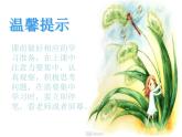 第5課草叢中（課件）-2021-2022學年美術(shù)四年級上冊-湘美版(1)