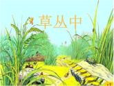 第5課草叢中（課件）-2021-2022學年美術(shù)四年級上冊-湘美版(1)