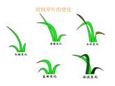 第5課草叢中（課件）-2021-2022學年美術(shù)四年級上冊-湘美版(1)