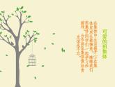 美術(shù)四年級(jí)上湘教版9可愛的班集體課件1