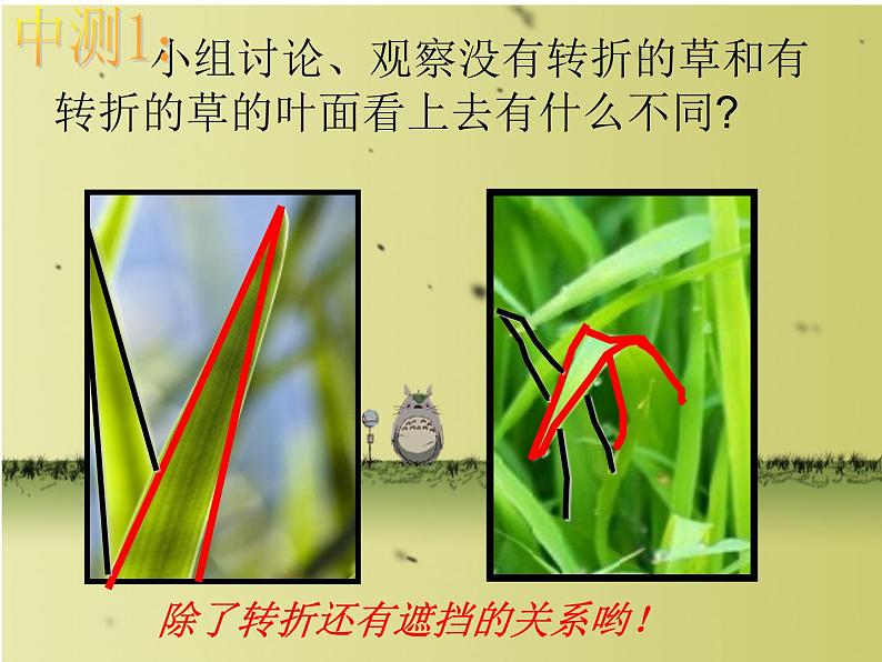 四年级上册美术课件-第五课 草丛中 湘美版   (共24张ppt)(1)第5页