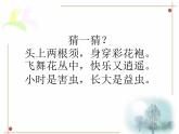 美術(shù)四年級(jí)上湘教版14蝴蝶落我家課件2