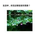 湘美版  四年級(jí)下冊美術(shù)課件 第2課：變形的魅力  (15張PPT)
