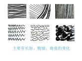 湘美版 四年級(jí)下冊美術(shù)課件 第2課：變形的魅力（16張PPT）