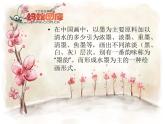 湘美版  五年級上冊 6.水墨動物 課件（13張PPT）