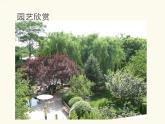 小小园艺师PPT课件免费下载