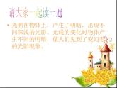 美术六年级上湘教版2光影变幻课件