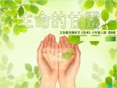 六年級(jí)上冊(cè)美術(shù)課件-第九課 生命的甘露 湘美版 (共22張PPT)